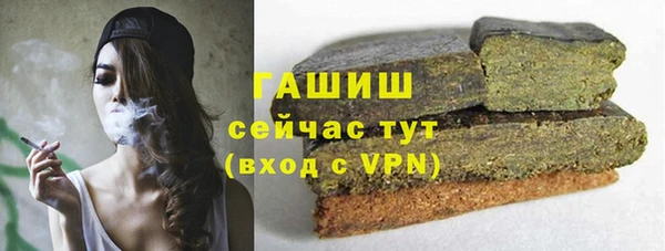 гашик Заводоуковск