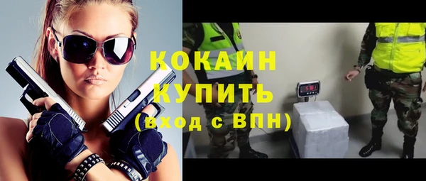 гашик Заводоуковск