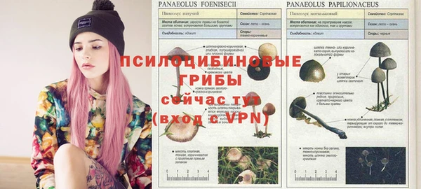 ECSTASY Заволжье