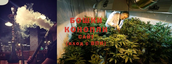 гашик Заводоуковск