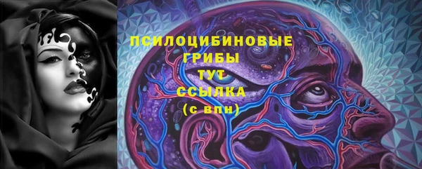 гашик Заводоуковск