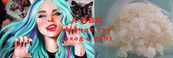 гашик Заводоуковск