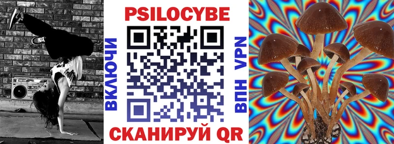 Галлюциногенные грибы Psilocybine cubensis Северобайкальск