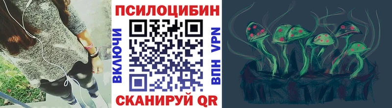 это как зайти  Северобайкальск  Псилоцибиновые грибы MAGIC MUSHROOMS 