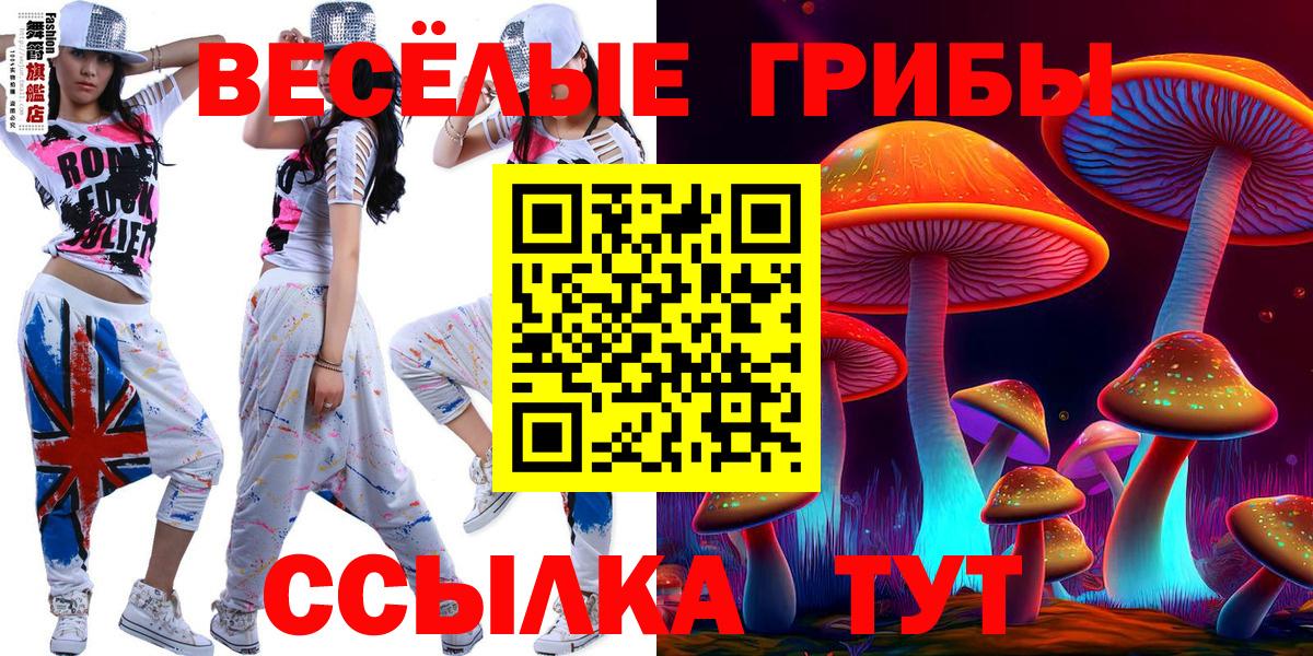 Галлюциногенные грибы Magic Shrooms  Вход с VPN  Северобайкальск 