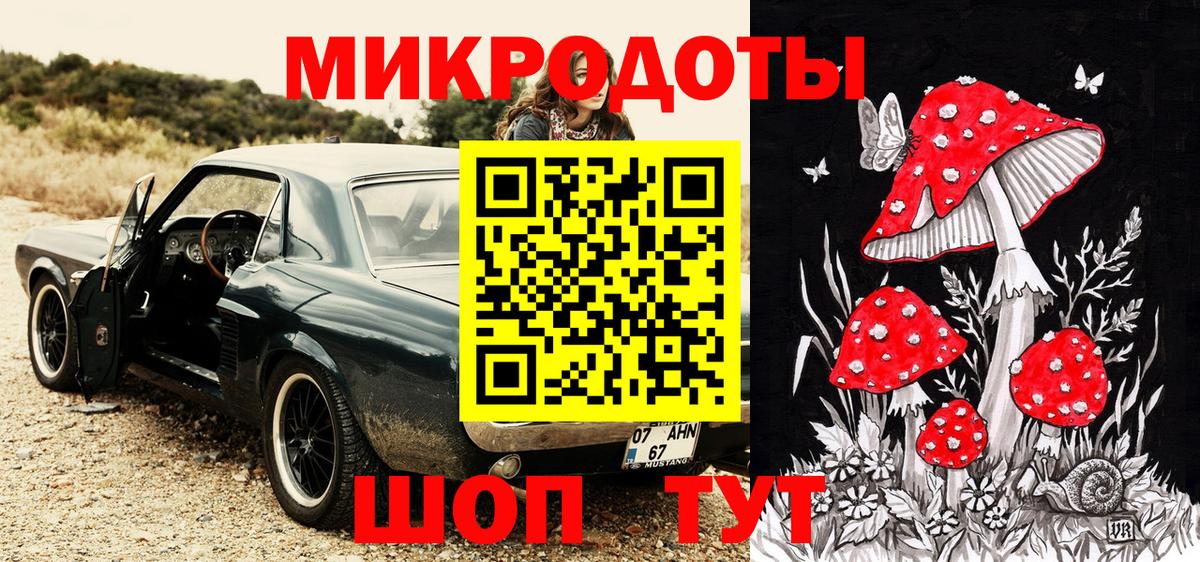 Галлюциногенные грибы Psilocybe Северобайкальск