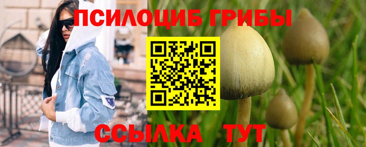 Галлюциногенные грибы прущие грибы Северобайкальск